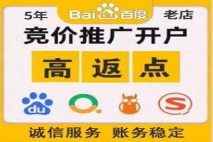 百度SEM竞价策略解析：成功案例分享